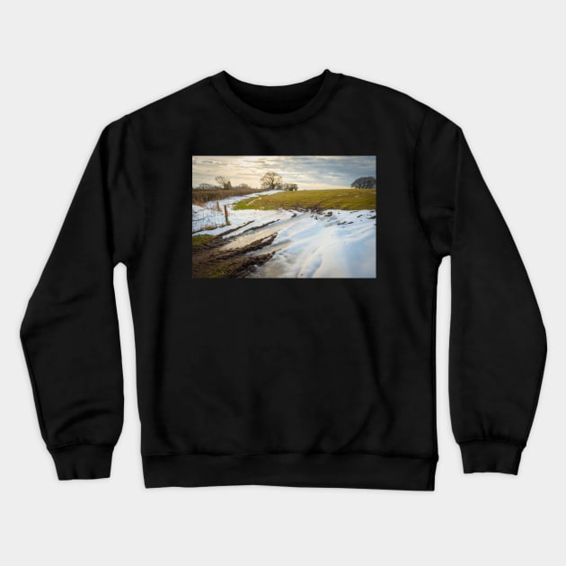 Winter Light Crewneck Sweatshirt by RJDowns